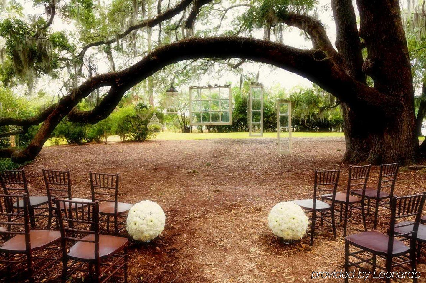 Hilton University Of Florida Conference Center גיינסוויל מראה חיצוני תמונה